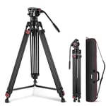 NEEWER 74 Inch Pro Video Tripod with Fluid Head, QR Plate Compatible with DJI RS Gimbals Manfrotto, Durable Camera Tripod with Telescopic Handle Scaled Base for DSLR, Max. Load 17.6 lb/8 kg, TP74