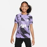 Nike Liverpool Tränings T-Shirt Dri-FIT Pre Match - Lila/Gridiron/Vit Barn adult DZ1354-554