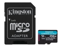 Kingston Canvas Go! microSDXC + SDXC 256GB UHS-I U3 V30 (Class 10) 170MB/s