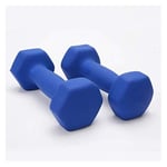 Shengluu Weights Dumbbells Sets Women Cast Iron Hex Dumbbell Exercise Weights For Core And Strength Training (Color : Blue, Size : 1.5kg*2)