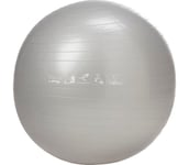 Gymboll 65 cm Herr SILVER 65