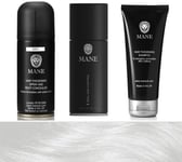 Mane 100 Ml Hair Thickener, Thickening Shampoo and 100 Ml Seal and Control (Grey