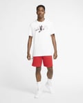 Nike Jordan Graphic T-Shirt (White) - Sz M - CQ9824-100