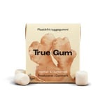 True Gum gum Ginger & Turmeric - 20 g