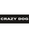 CRAZY DOG large 160x50 mm