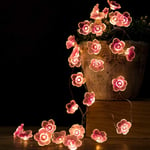 Flower Fairy String Lights Pink Cherry Blossom Lights 2M 20 LED Battery Operated Decorative Fairy Lights for Girls Bedroom Indoor Outdoor Wedding and Valentines Day