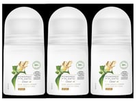 DOVE Powered by Plants Ginger Roll-On Anti-Perspirant Deodorant - 3 x 50ml