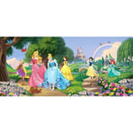 Ag Art - Poster Château et Princesses Disney intisse 202X90 cm