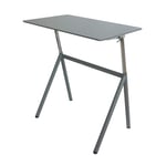 Höj- och sänkbart skrivbord Stand Up, krom/grå, gasfjäder, bordsskiva 96x60 cm, höjd 75-119 cm, Grå