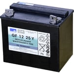 Sonnenschein GF12025YG Batterie Décharge Lente 25Ah GEL Solaire