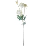 DRW Lot de 12 Bouquets de Fleurs en Polyester Blanc 1 x 1 x 58 cm