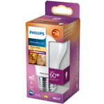 Philips LED E27 Normal 60W Frost Dimbar WarmGl 806lm