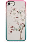 Vintage Japanese Illustrations Cherry Blossoms Pink Impact Phone Case for iPhone 7, for iPhone 8 | Protective Dual Layer Bumper TPU Silikon Cover Pattern Printed | Real Japan Art Paintings Asian