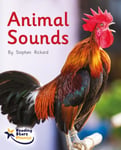 Stephen Rickard - Animal Sounds Lilac Bok