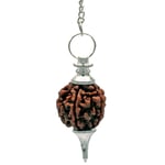 Rudraksha Pendulum Silvercolored -- 10 G; 4.5 Cm