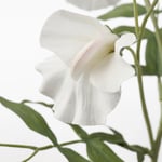 IKEA IKEA SMYCKA plastblomma, luktärt/vit, 60 cm, plastblomma, cm, konstgjord blomma 60 cm