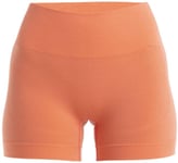 Icebreaker ZoneKnit Seamless Shorts W'stang L