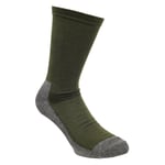 Pinewood Coolmax Liner Strumpor 2-Pack Green 40/42