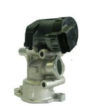 EGR-ventil Delphi - Volvo - Ford - Peugeot - Citroen - Renault - Fiat