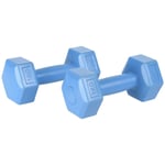 Blue 1kg Dumbbells Set Exercise Equipment Home Gym Weight Fitness Accessories