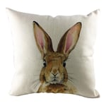 jieGorge Easter Sofa Bed Home Decoration Festival  Rabbit Pillow Case Cushion Cover, Pillow Case for Easter Day (E)