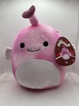 Sy the Anglerfish Squishmallow 7.5" Valentines Plush Soft Pink Heart NEW UK