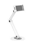 Universal tablet desk stand with adjustable arm 4.7 to 12.9” tablets iPad and phones
