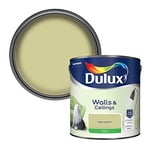 Dulux Walls & Ceilings Silk Emulsion Paint, Melon Sorbet, 2.5 Litres