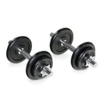 TREXO Set of steel dumbbells with thread and discs with a total weight of 20 kg in a case with 8 rubberised cast iron discs for strength training at home DK20