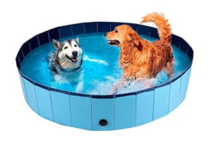 Baignoire Surélevée Pour Chien Et Chat – Pliable, Hauteur Réglable 70-100 Cm, Charge Max 68 Kg, Avec Tuyau De Vidange Et Ceinture De Sécurité