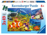 Ravensburger 09310 Puzzle de 3 Puzzles de 49 pièces