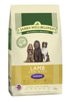 James Wellbeloved Senior Lamb & Rice Dog Food | Dogs