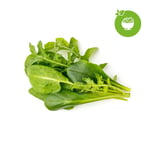Click and Grow - Smart Garden Refill 9-pack Green Sallad Mix