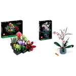 LEGO 10311 Icons Orchid Artificial Plant Building Set with Flowers & 10309 Icons Succulents Artificial Plants Set for Adults, Home Décor, Creative Hobby Gift Idea, Botanical Collection