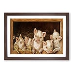 Big Box Art Prize Pigs Framed Wall Art Picture Print Ready to Hang, Walnut A2 (62 x 45 cm)