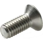 Maskinskruv M6 x 12 mm, A4, DIN 14581, TX, UH, 500 st.