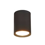 Lucande - Minna Utomhus Plafond Graphite