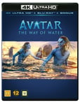 Avatar: The Way of Water (4K Ultra HD + Blu-ray) (3 disc)