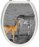 pixxp Rint 3D WCS 4320 _ 32 x 40 Magnifique Gazelle Indienne avec Couvercle sucrés Jung Animal en Tant Que Couvercle Stickers WC, Toilettes, matière gläzendes, Noir/Blanc, 40 x 32 cm