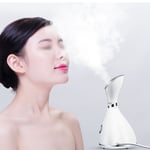 Facial Thermal Steamer Nano Water Spray Acne Wrinkle Removal