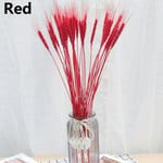 25pcs Wheat Ear Grass Dried Flowers Bouquets Real Flower Red
