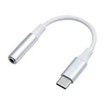 DACOTA PLATINUM USB-C TO 3,5 MM AUX 0,1 M, SILVER