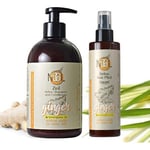 NGGL Detox Shampoo Conditioner + Hair Mist Set Natural Ginger Lemongrass