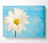 Daisy Skies Canvas Print Wall Art - Large 26 x 40 Inches