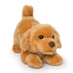 Gosedjur Golden retriever – den lekfulla valpen