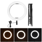 12inch Ring Light with Tripod Stand, Dimmable Halo Lighting & LEB Selfie Fill Light, Stretchable Bracket Tripod with Phone Clip Hight Brightness LED Ring Lamp for Makeup Live Photography(UK)