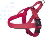 Nobby 80535-01, Hund, Antidragsele, Xl, Röd, Nylon, Monokromatiskt