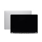 MacBook Pro 13 (A1989) LCD-skärm – Silver
