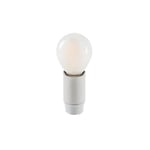 Seletti - LED Bulb Monkey Lamp - Indoor - LED-lampor