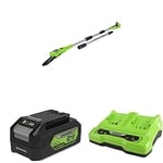 Greenworks 24V Pole Saw 20cm Chainsaw & Battery G24B4 2nd Generation & 24V 2A Dual Slot Universal Charger
